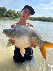 Mirror Carp