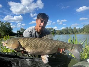 Grass Carp