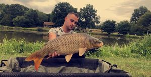 Common Carp