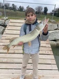 Northern Pike