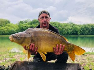 Mirror Carp