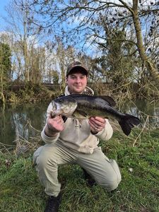 Largemouth Bass