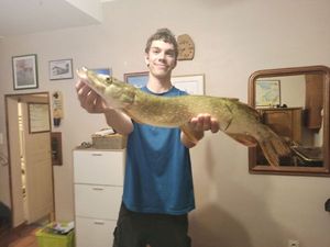 Northern Pike