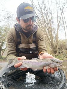 Rainbow Trout