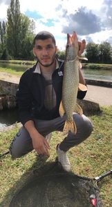 Northern Pike