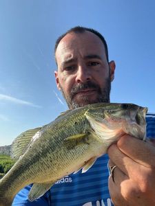 Smallmouth Bass