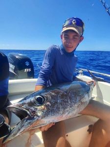 Albacore