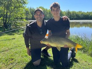Common Carp