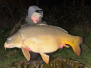 Mirror Carp