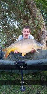 Mirror Carp