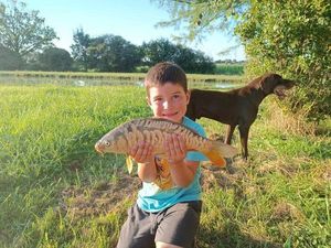 Mirror Carp