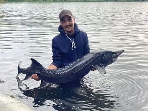 Sturgeon