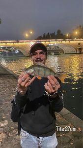 European Perch