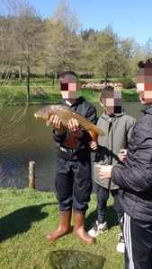 Common Carp