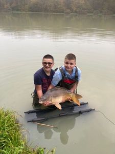 Mirror Carp