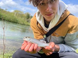 Sea Trout
