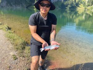 Rainbow Trout