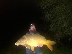 Mirror Carp