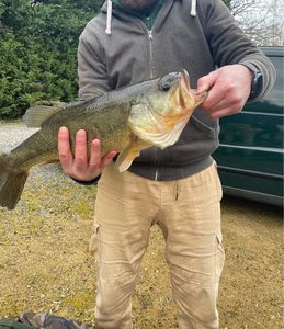 Smallmouth Bass