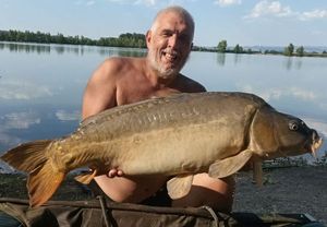 Mirror Carp