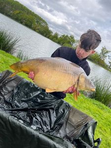 Mirror Carp