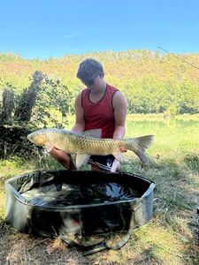 Grass Carp
