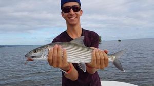 Bonefish