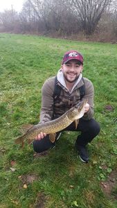 Northern Pike