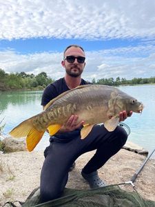 Mirror Carp