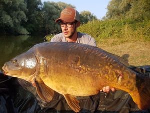 Mirror Carp
