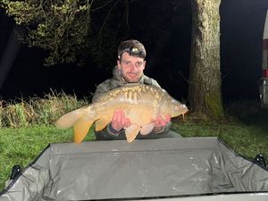 Mirror Carp