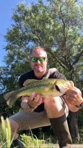 Largemouth Bass