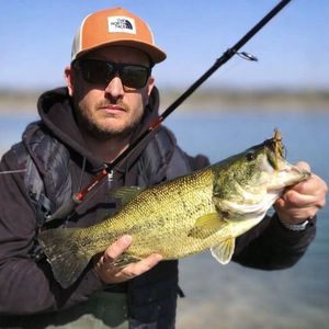Largemouth Bass