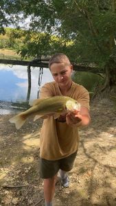 Largemouth Bass