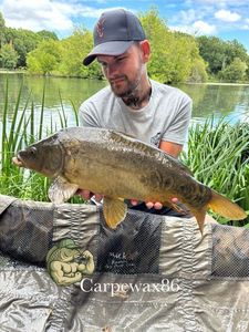 Leather Carp
