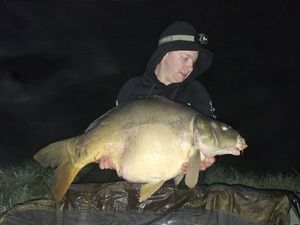 Mirror Carp
