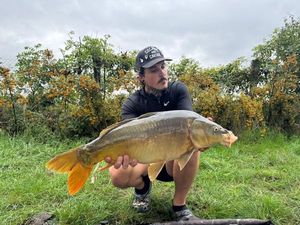Mirror Carp
