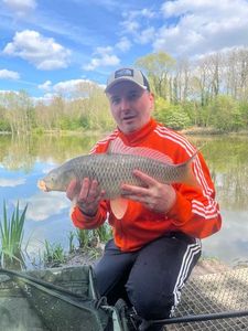 Common Carp
