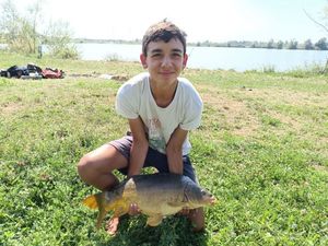 Mirror Carp