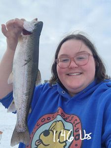 Rainbow Trout