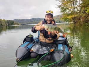 European Perch