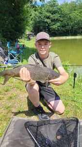 Common Carp