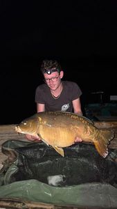 Mirror Carp