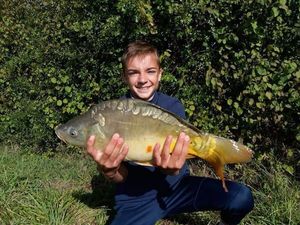 Mirror Carp
