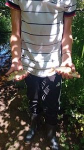 Roach