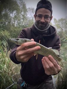 Northern Pike
