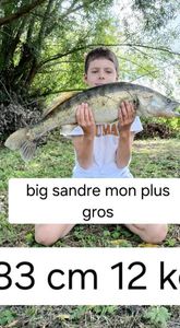 Zander