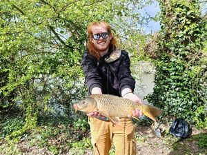 Common Carp