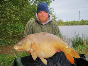 Mirror Carp