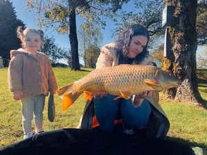 Common Carp